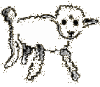 mouton1