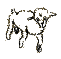 mouton1