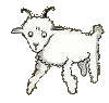 mouton1