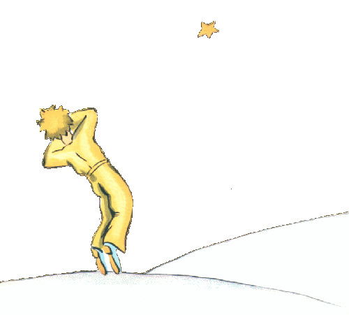petit prince