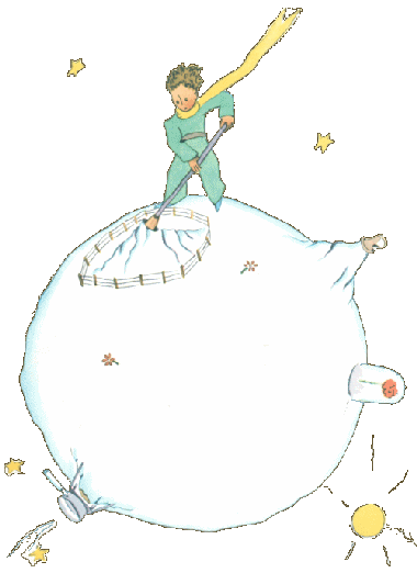 petit prince