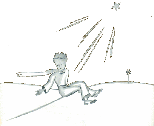 petit prince