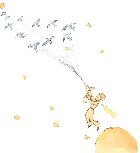 vol d'oiseaux
