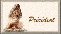bouton_precedent