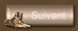bouton suivant