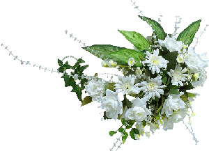 fleurs blanches