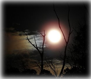 nuit