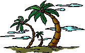 palmiers