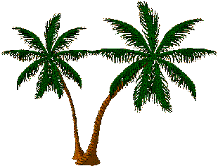 palmiers