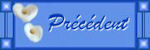 bouton precedent