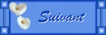bouton suivant